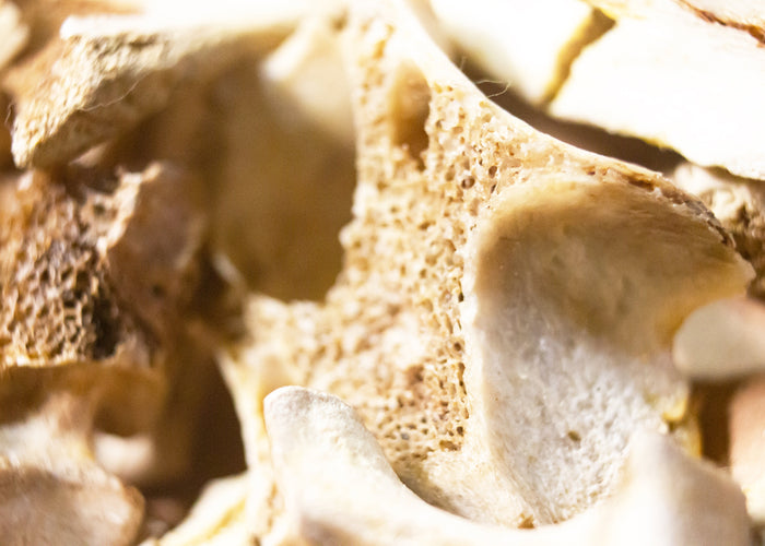 Detalle de un huevo afectado por osteopenia y la osteoporosis