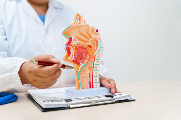 El cáncer de cabeza y cuello afecta a diferentes órganos, incluyendo la nariz, la boca o la garganta