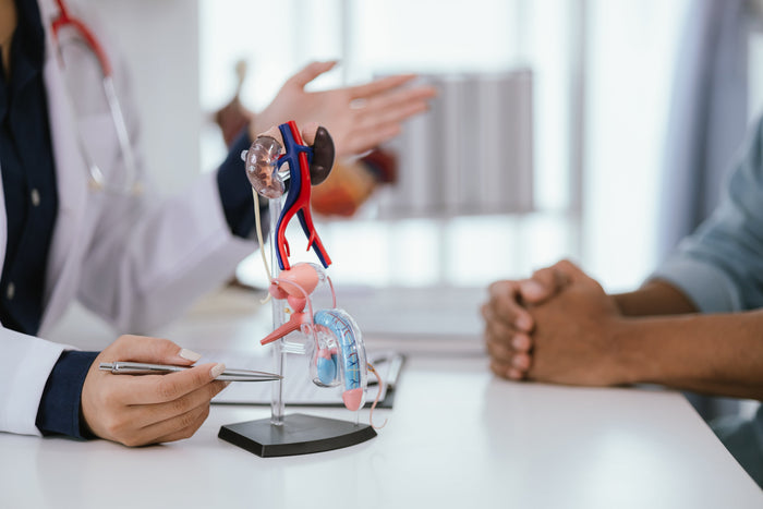 El cáncer de testículo es el cáncer que comienza en los testículos (la parte del sistema reproductor masculino que normalmente es un poco más pequeña que una pelota de golf en hombres adultos y está contenida dentro de un saco de piel llamado escroto)